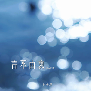 言不由衷