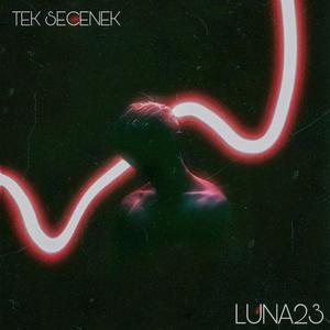 TEK SECENEK