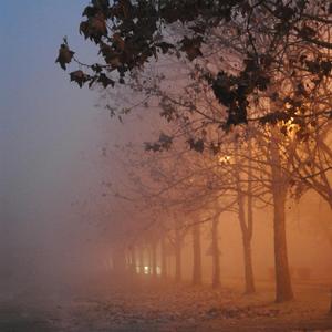 Someone Will Miss You