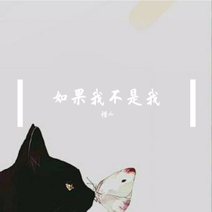 如果我不是我