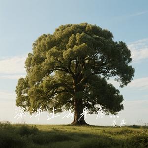 漂洋过海来看你