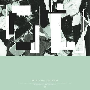 Necton (Original mix)