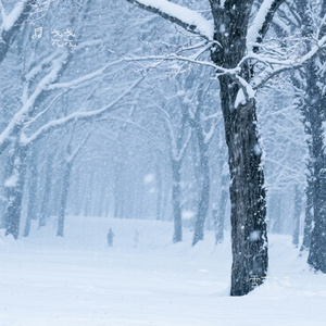 雪落无声