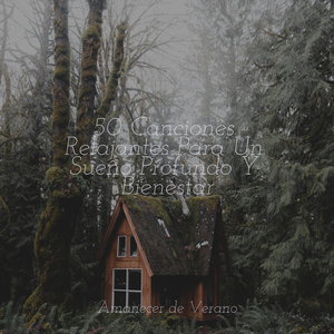 Hechizado Niebla Espejismo