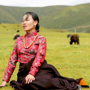 牧场有很多牛羊