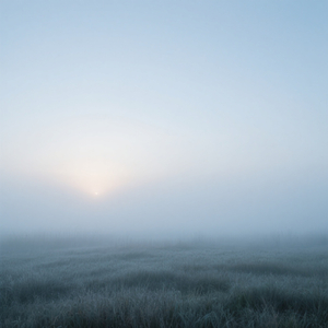 Blasser Morgen