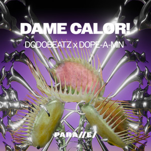 Dame Calor! (Extended Mix)