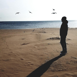 Hashkiveynu (Shana's Lullaby) (feat. Pavel Roytman & Laurie Akers)