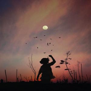 MoonLight