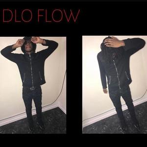 DloFlow