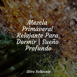 Lágrimas Felices Como Olas