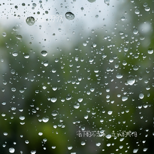 滴下的不是雨，是我的眼泪！