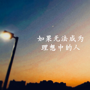 《如果无法成为理想中的人》