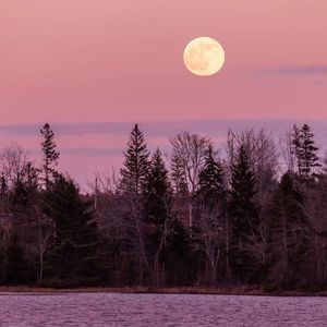 微光 (采耳放松空灵鼓)