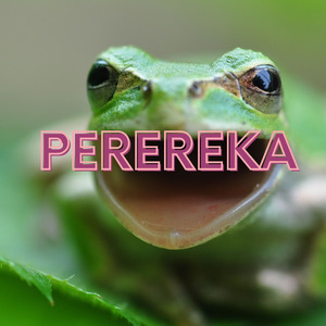 Perereka