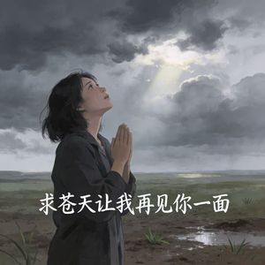 求苍天让我再见你一面