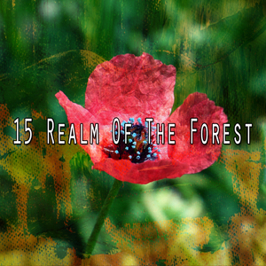 舒緩寧靜的靈魂