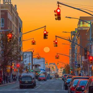 Let's fall in love for tonight