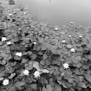 六声调式|徵调式(G)清角-下行