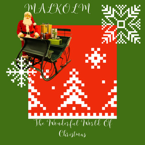 The Wonderful World Of Christmas (Radio Edit)