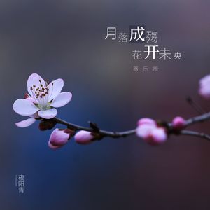 花开未央 (纯音乐)