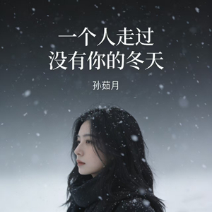 一个人走过没有你的冬天