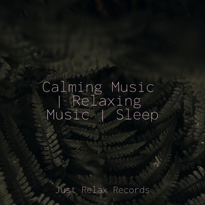 Golden Splendor's Lullaby