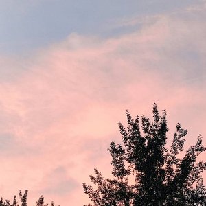 潮汐（翻自 安苏羽）