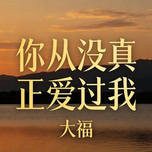 你从没真正爱过我