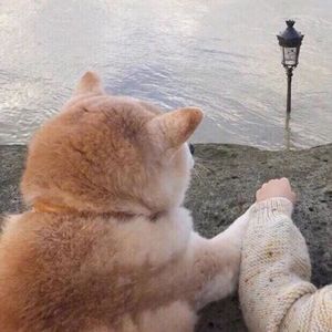 重来 一次（Prod.by FRESH_ye）