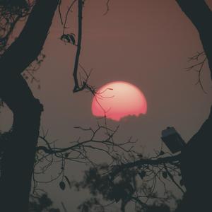 Falling Forever