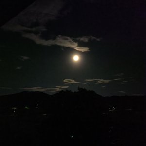 Summer屿Moonshine（Prod by Lisure）