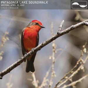 Part 28, Among the Reeds