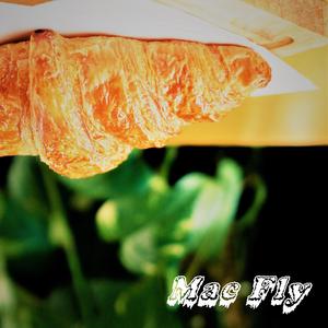 Mac Fly