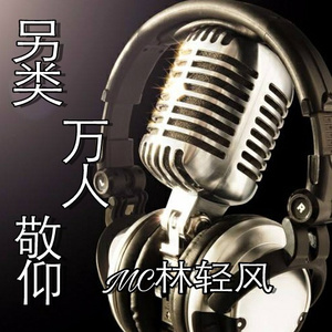 致敬所有另类麦手