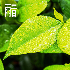 雨音、パート17