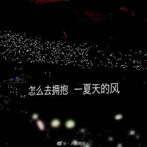 温岚-夏天的风(Remix)