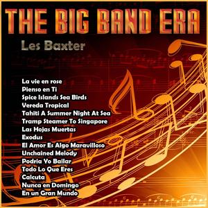 Spice Islands Sea Birds