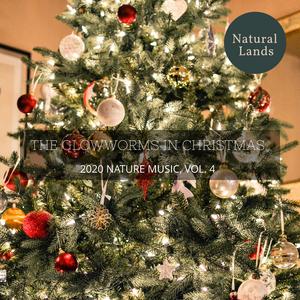 Humpy American Toads