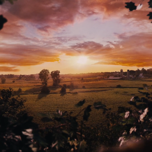 我杀死春季在梦里