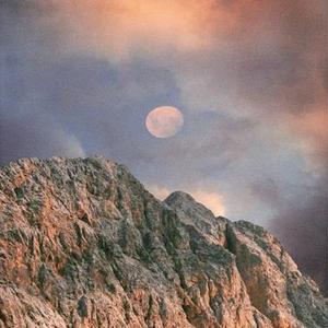 红尘来去一场梦 (Live)