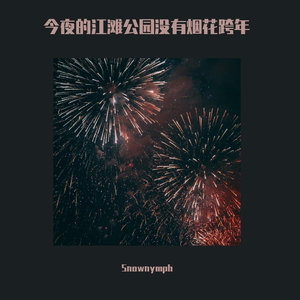 今夜的江滩公园没有烟花跨年