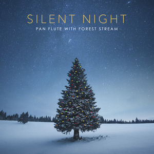 Silent Night - Pan Flute with Forest Stream