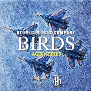 BIRDS (feat. Dieko Radiactivo)