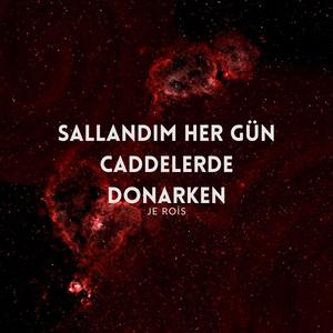 Sallandım Her Gün Caddelerde Donarken