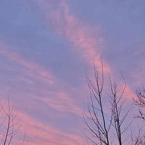 阈上晨光