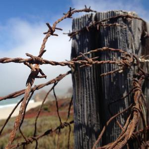 The Day I Fell in Love with Summer Glau