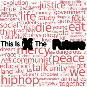 Wu-Tang Clan-This Is Not The Future（RIP remix）