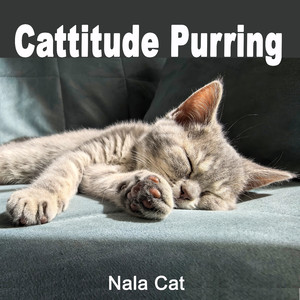 Cattitude Purring (Loopable)