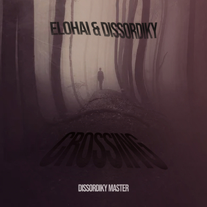 Crossing Dissordiky MASTER 152BPM